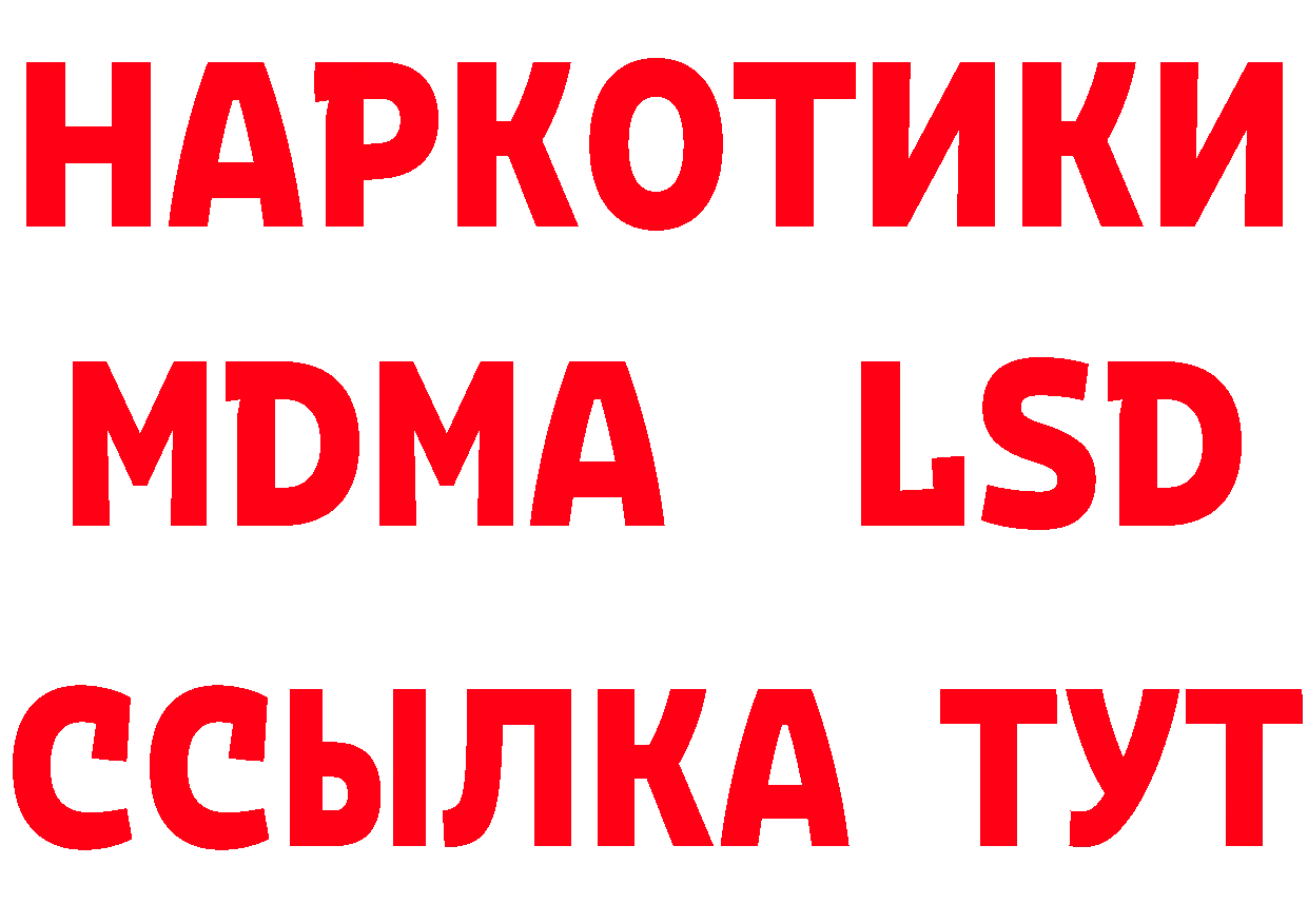 Бутират буратино вход площадка МЕГА Алагир